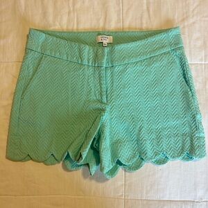 crown & ivy Mint Scalloped Hem Knit Shorts